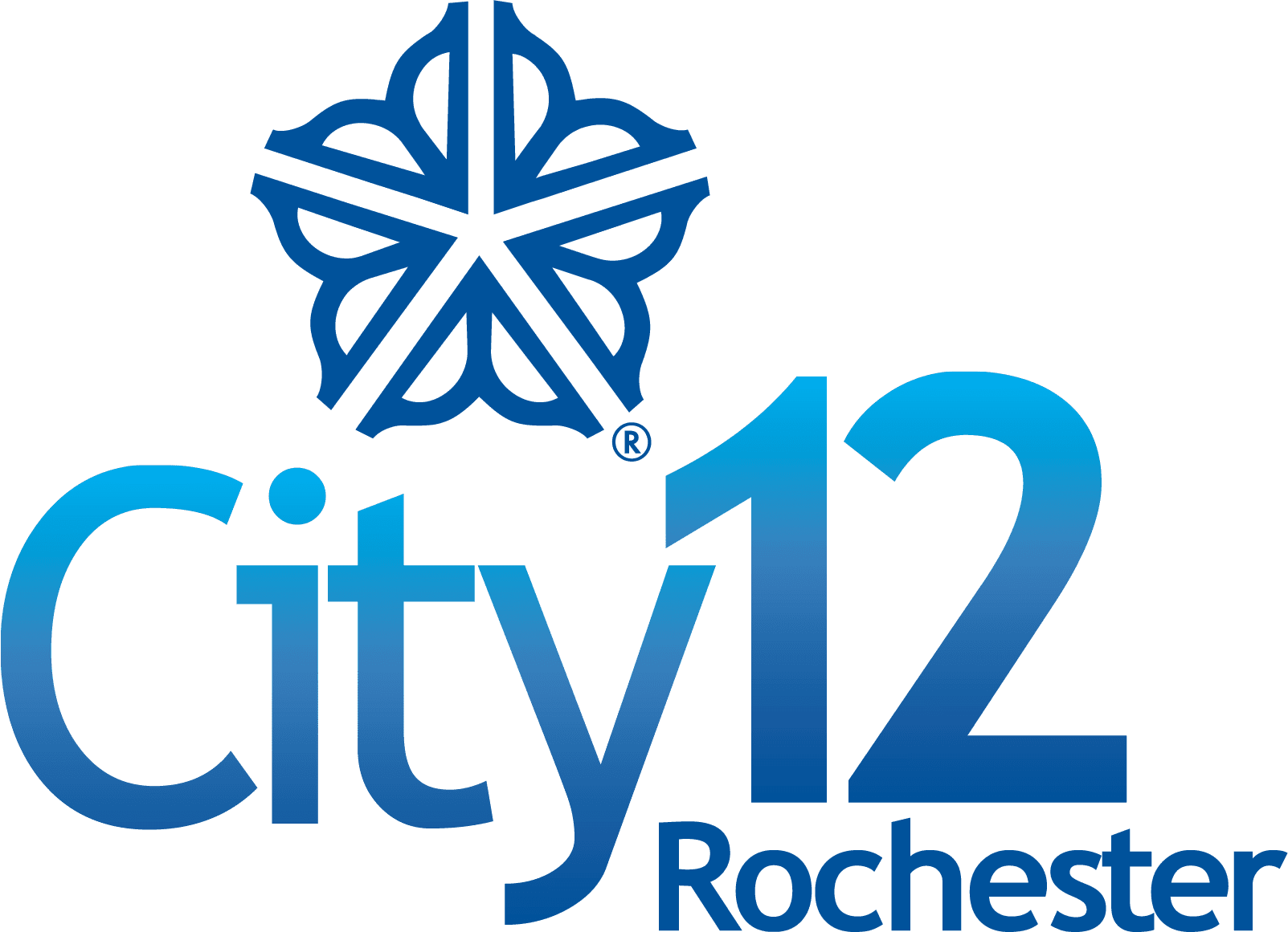 City 12 Rochester