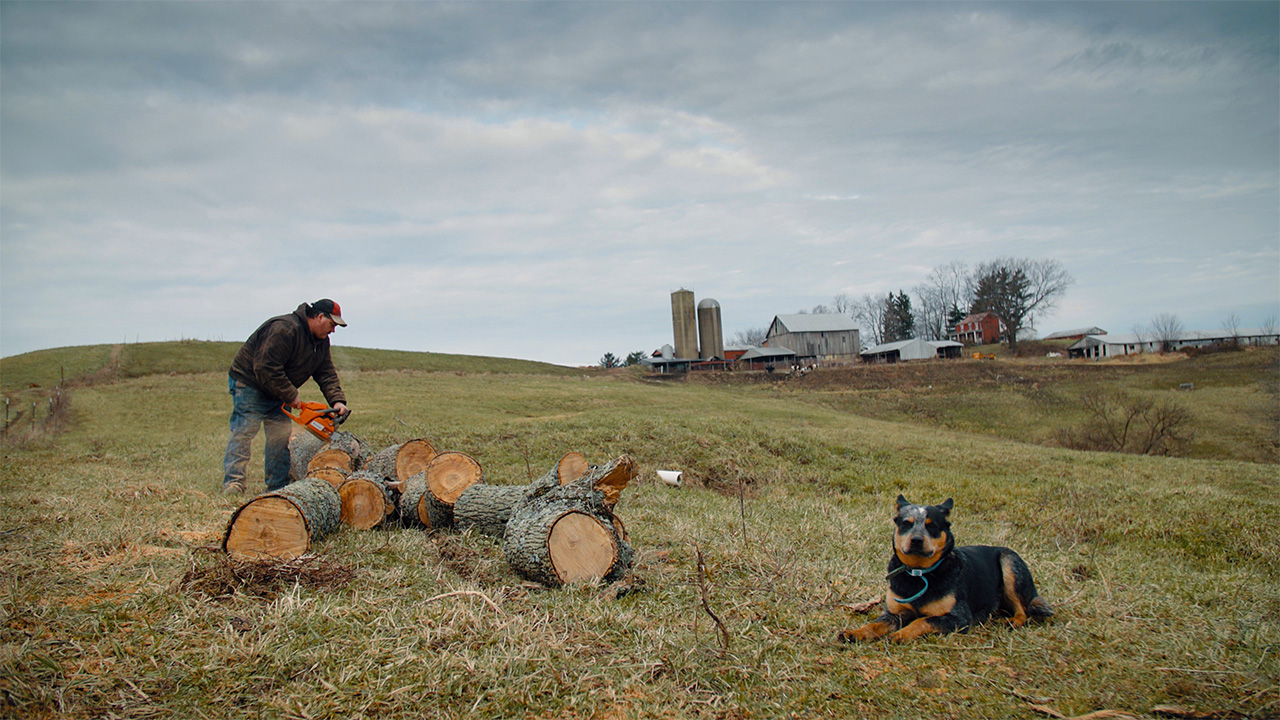 A white man cutting tree logs. His dog lays patiently waiting for him.