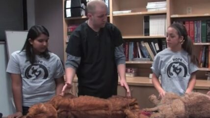Vet Tech Explorers learning about Canine CPR from a vet