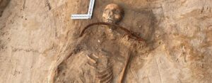 Skeleton remains in a bed of sand