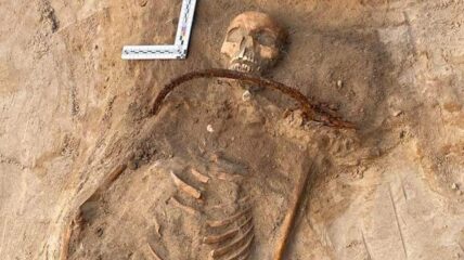 Skeleton remains in a bed of sand