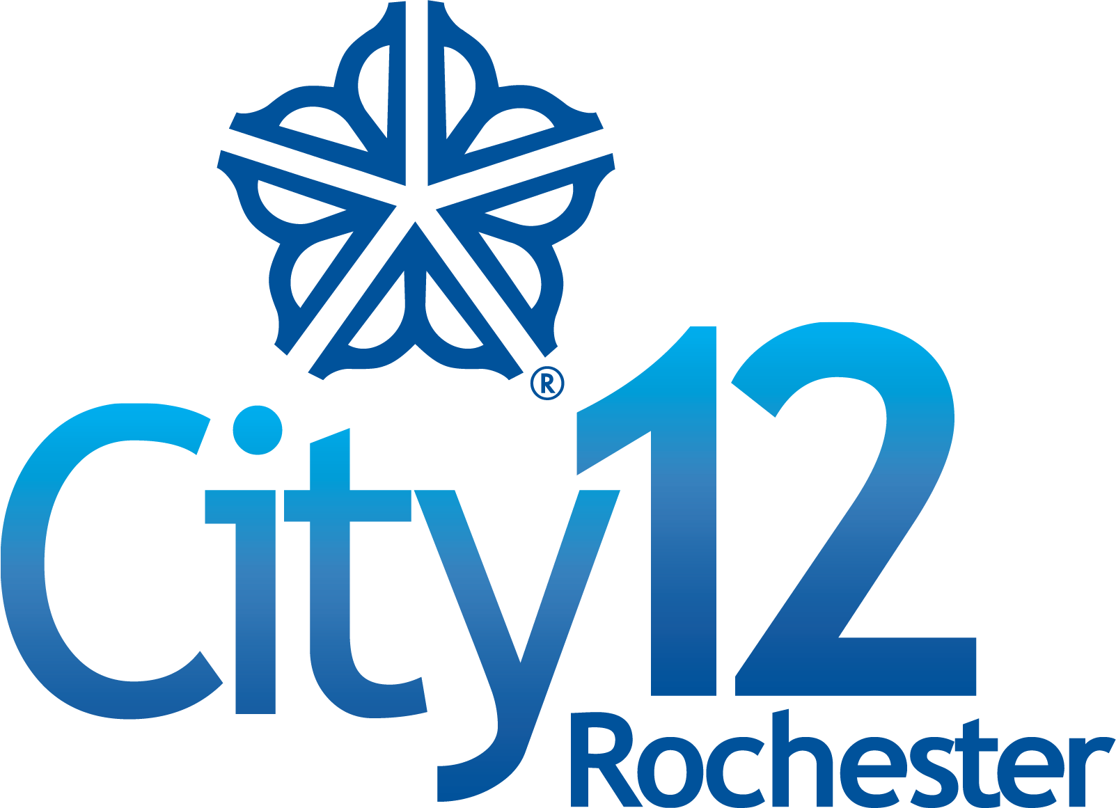 City 12 Rochester