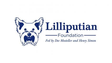 Lilliputian Foundation