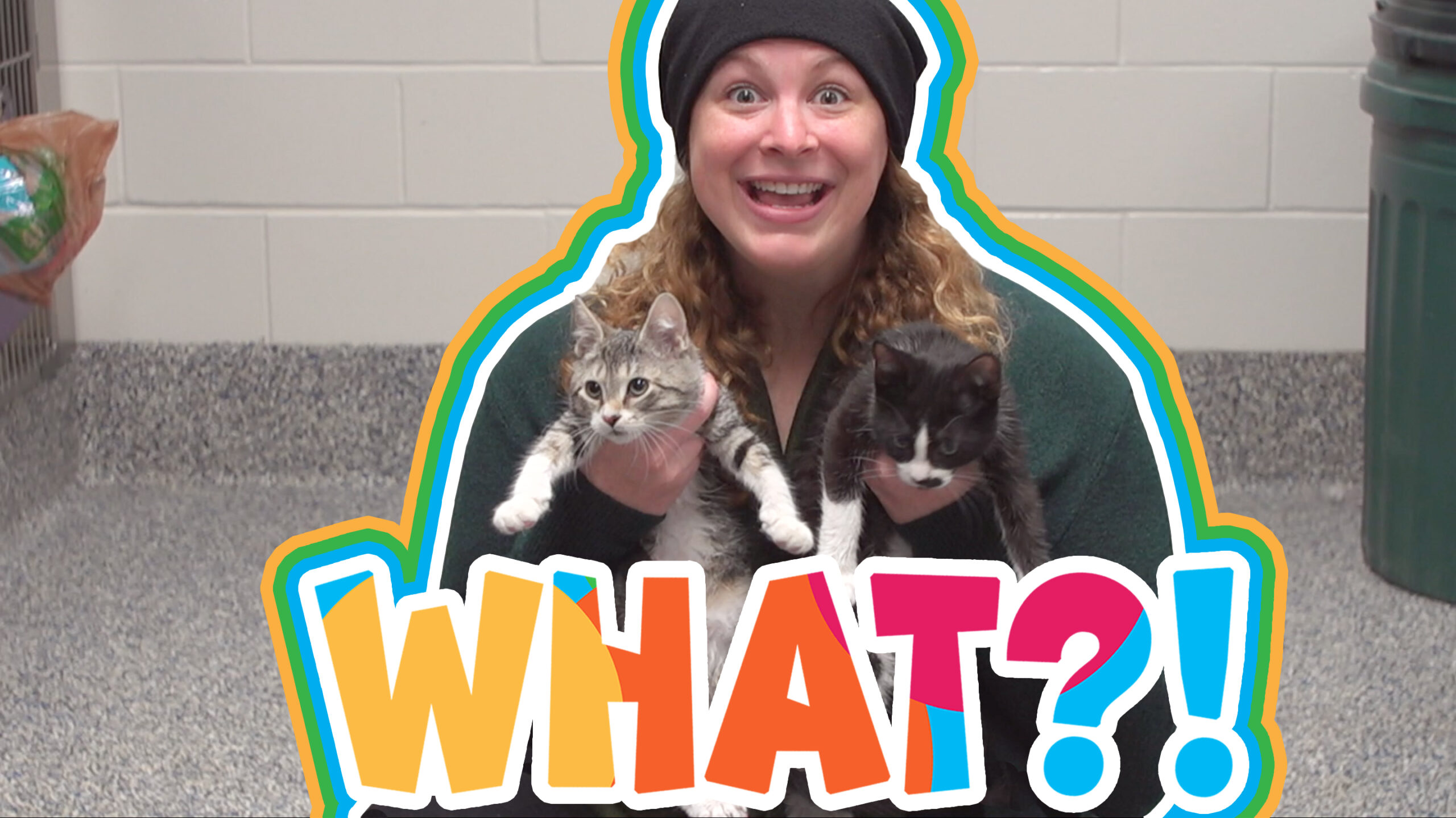 What?! Jen Indovina holds up 2 kittens as she explores being a vet.