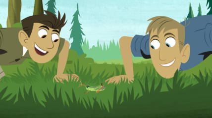 Wild Kratts and the Grasshopper