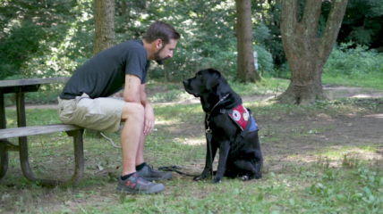 Veteran sitting in the park with his dog