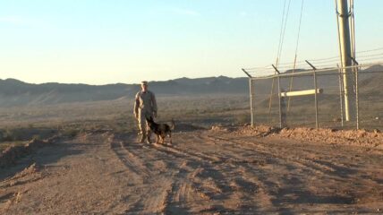 Canine and Soldier