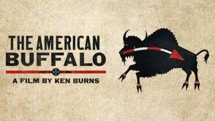 American Buffalo