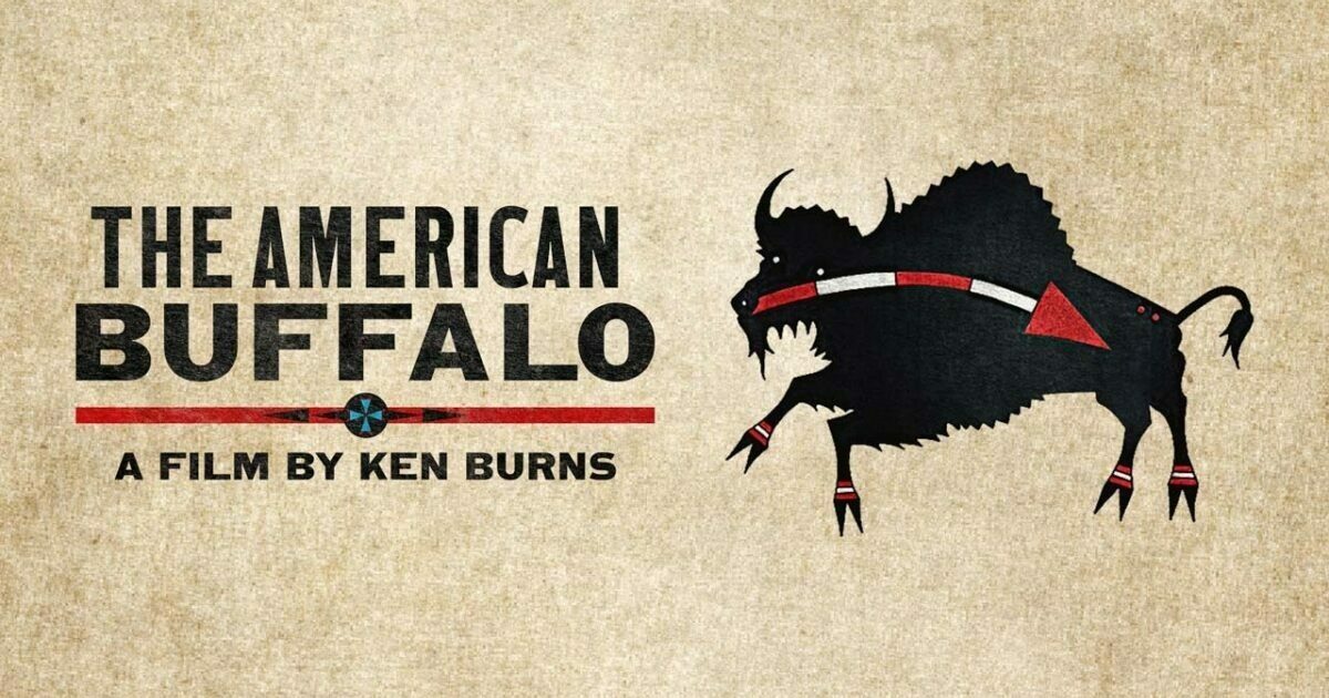 American Buffalo