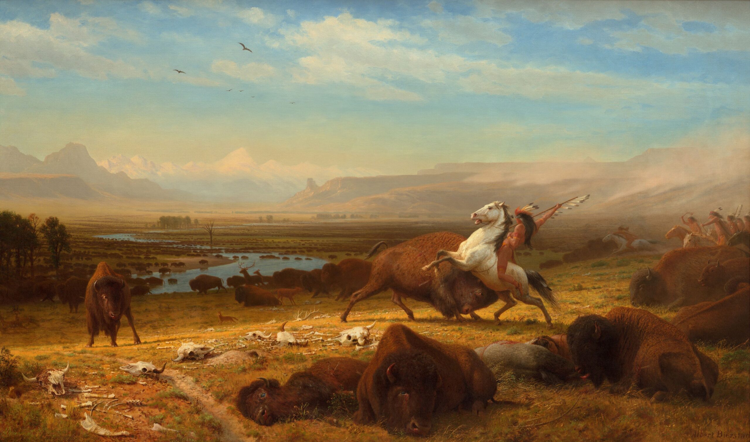 A painting of an Indian riding a white horse and hunting buffalo with a spear