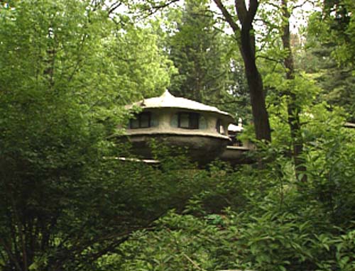 The Mushroom House