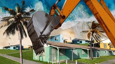 Razing Liberty Square Poster Image of a house being demolished by a palm tree in Miami Florida