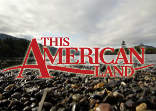 This American Land in red type in front of water with a bed of rocks.
