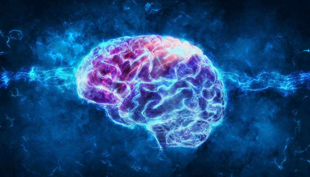 A 3-D rendering of a brain