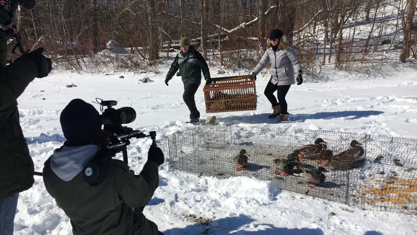 Wildlife technician, TV host and crew by a lake in winter