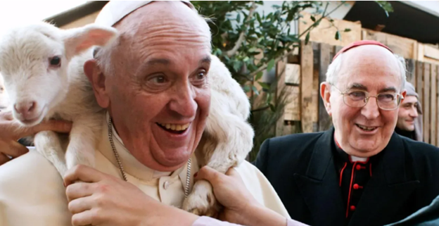 Pope Francis with a lamb on his shoulders