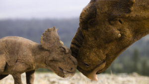A pachyrhinosaurus mother and her baby
