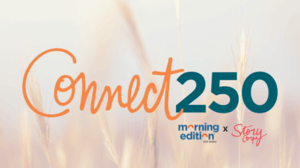 Background of a wheat field with logo connect 250 over it.